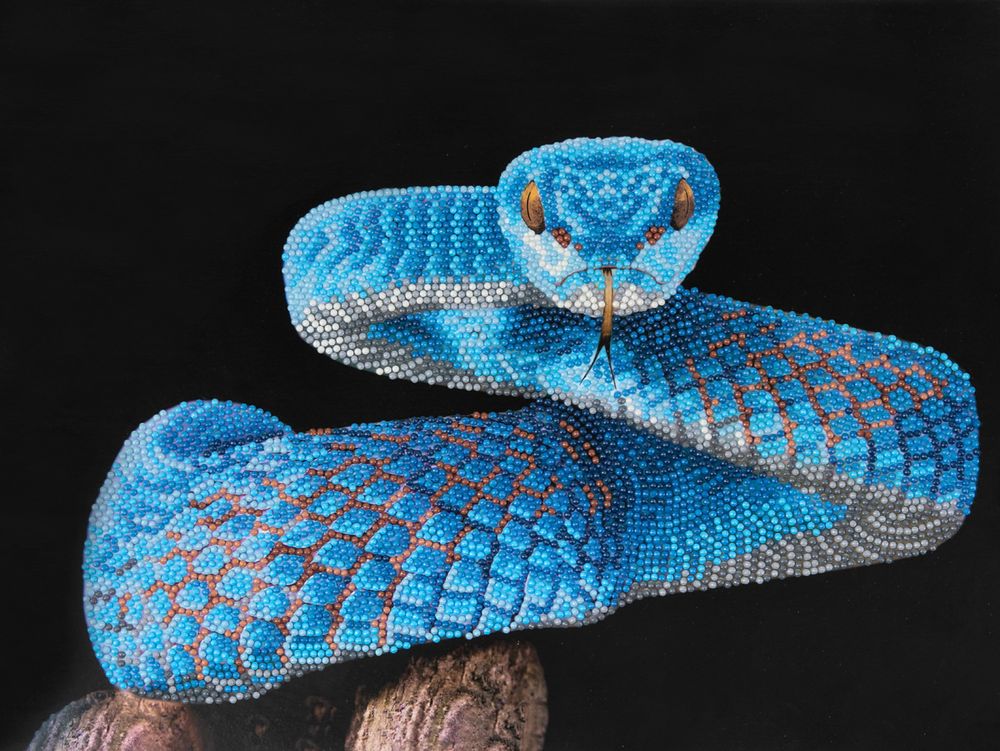 Алмазная (кристальная) мозаика Фрея ALBP-311, постер Змея, 40х30 см