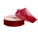 Лента капроновая (органза) 20.0 мм, 1021 бордовый, уп. 27,4 м
