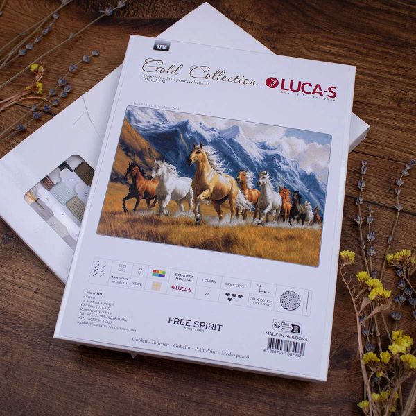 Набор для вышивания нитками Luca-S G704, гобелен Дух свободы, 30х20см