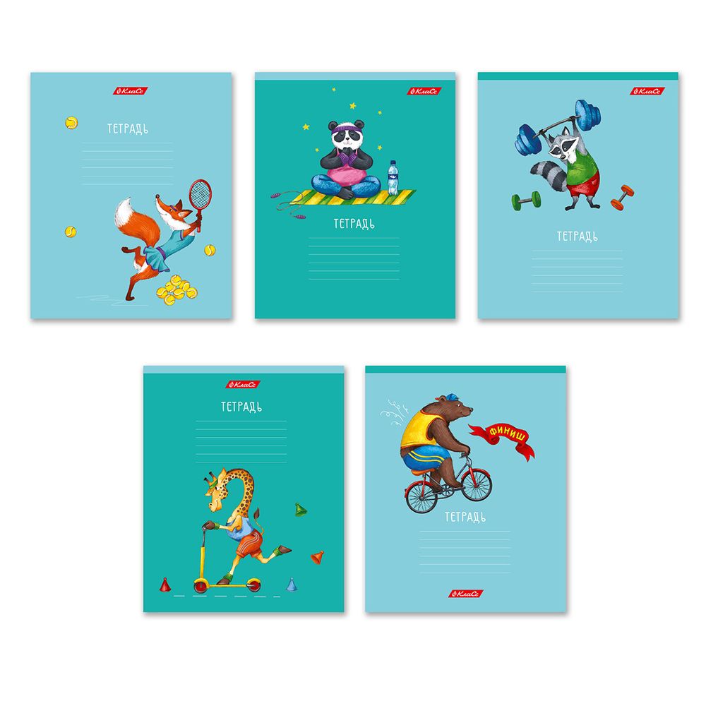 Тетрадь ученическая школьная A5+ 18 л. на скобе, 20 шт, клетка, 000367 Спортландия, Светоч 18ТСКд5_1_3_1