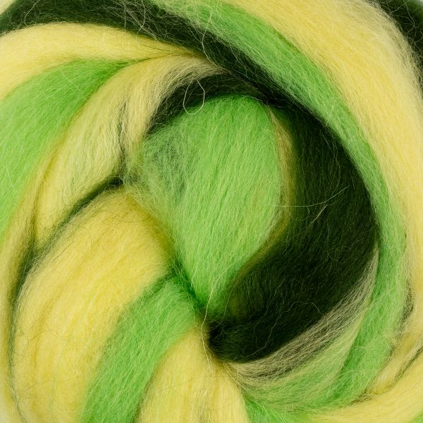 Шерсть для валяния (до 29 мкр), 50 г. 6104 лимон/яркий салат/морские водоросли, Gamma MY-050