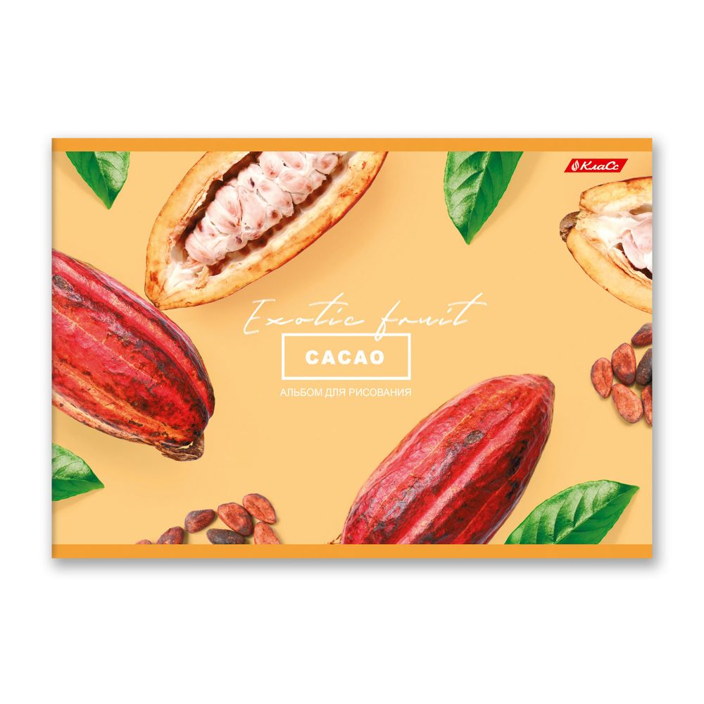 Альбом для рисования 100 г/м², A4 29х20.5 см, 48 л. на скобе, 5 шт, 000265 Сочный фрукт, Светоч 48АЛСК4_1_3_9