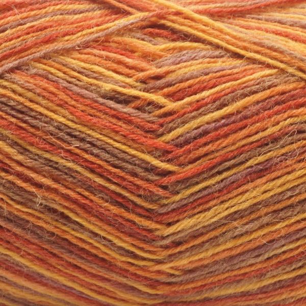 Пряжа Astra Premium (Астра Премиум) Карелия носочная (Karelia sock) / уп.2 мот. по 100 г, 400 м, 1001