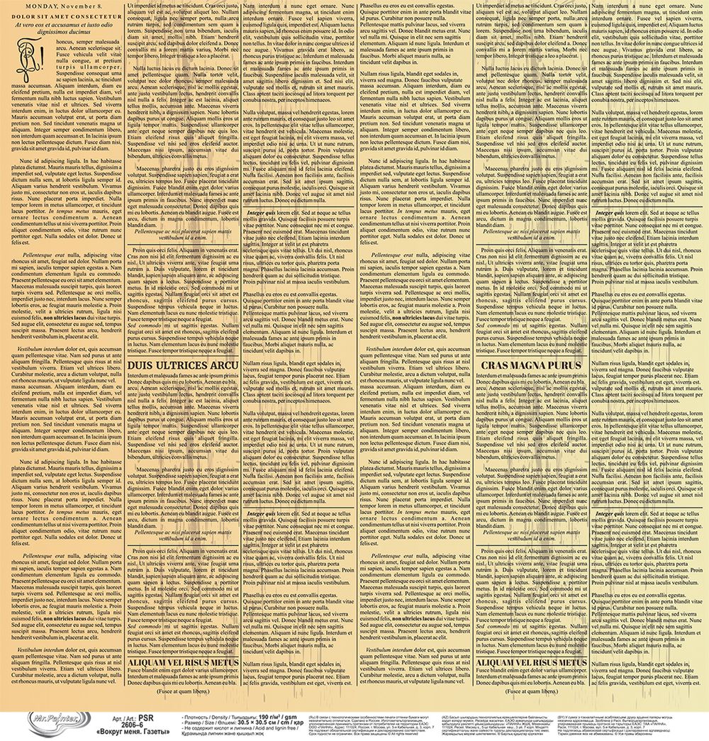 Бумага для скрапбукинга Вокруг меня. Газеты 190 г/м², 30.5х30.5 см, 10 шт, 6, Mr.Painter PSR 2606