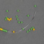 Нить силиконовая 0.8 мм, 0215-1012 цв.прозрачный рул.30м, 10 катушек