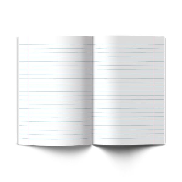 Комплект предметных тетрадей Разные интересы A5+ 48 л. 12 шт, на скобе клетка/линия, Алгебра, Английский, Биология, География, Геометрия, Физика, Химия, История, Русский, Литература, Обществознание, Информатика, Светоч