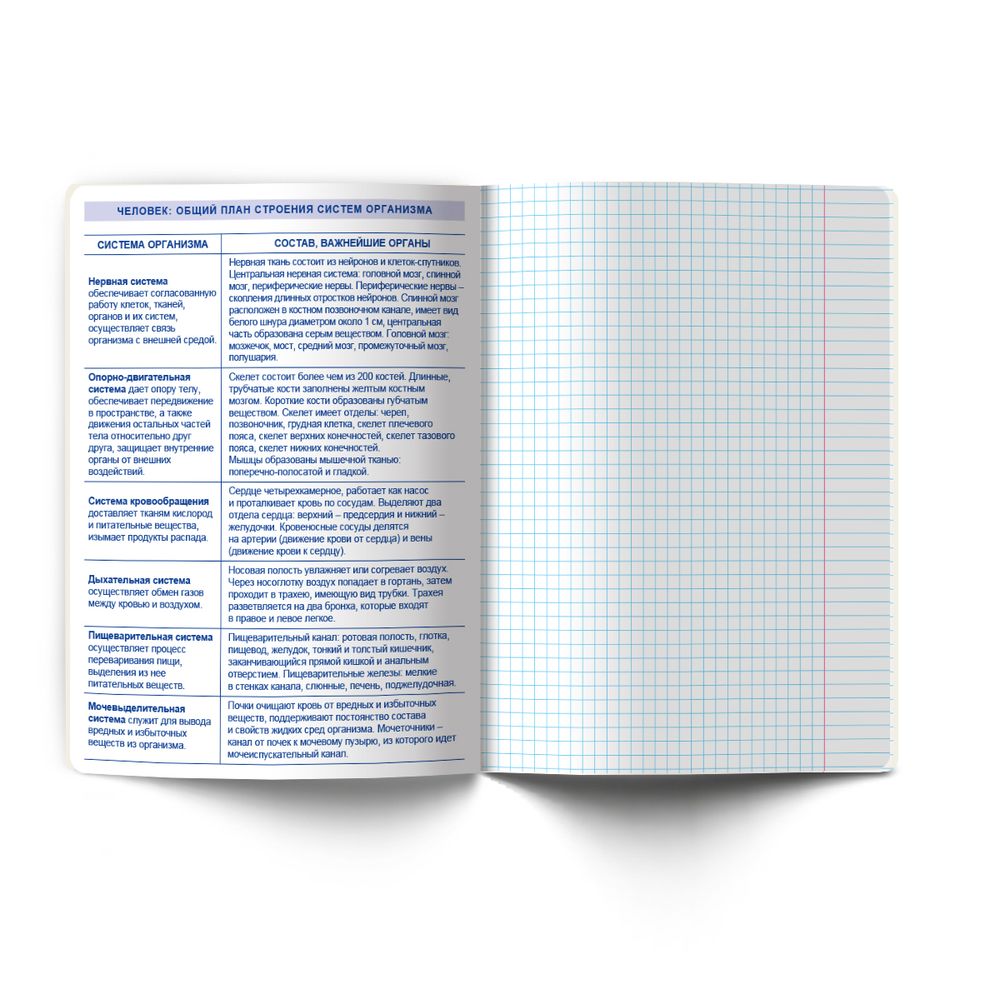 Тетрадь со справочным материалом Большая перемена, выбор.лак, A5 48 л. на скобе 65 г/м², белизна 100% 10 шт клетка, 01813 Большая перемена Биология, Светоч Т280