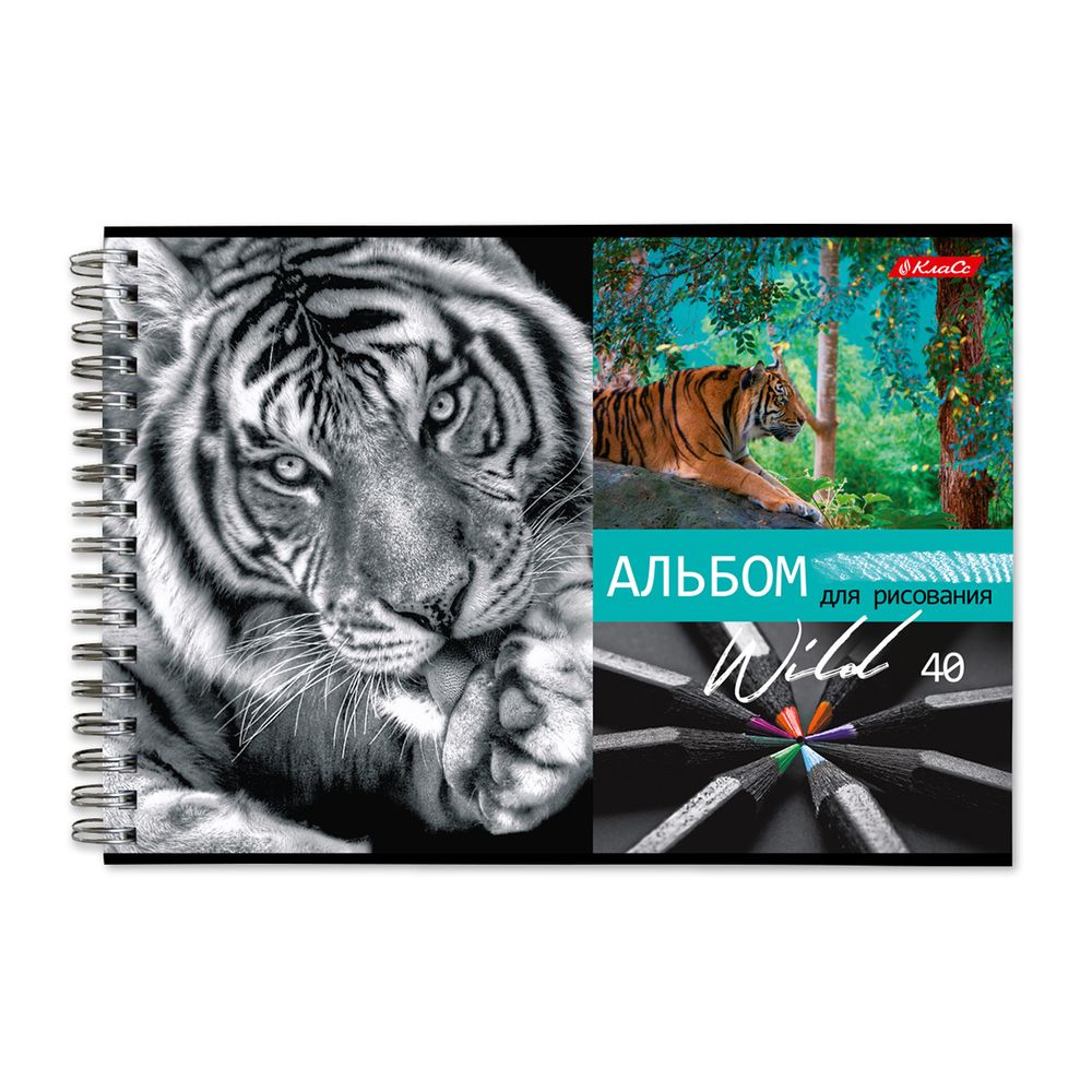 Альбом для рисования, 100 г/м², A4 29х20.5 см, на гребне 40 л., 6 шт, 40АЛГР4_000244 Саванна, Светоч