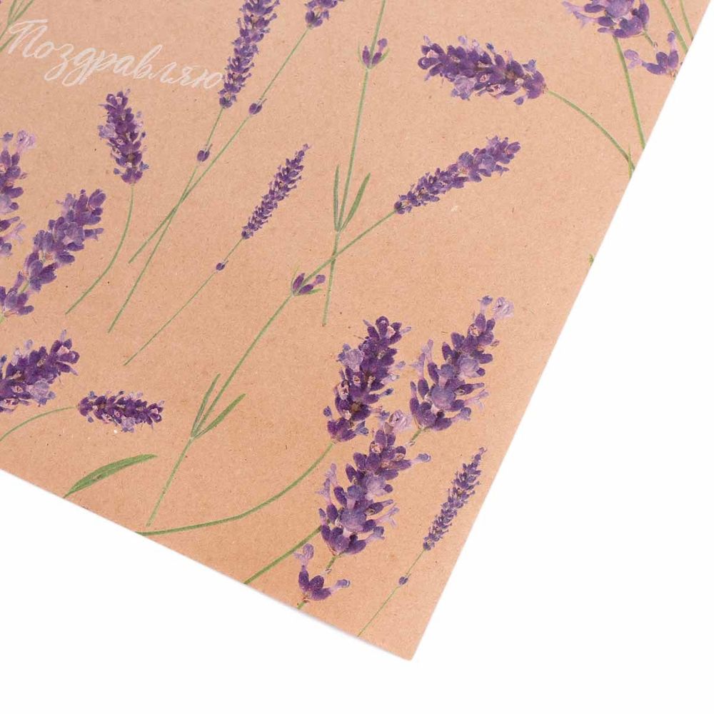 Бумага упаковочная крафт "Лаванда", 70х50 см, 10 шт /TOS/