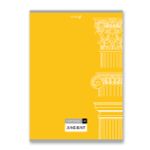 Тетрадь ученическая общая, A4 48 л. на скобе 65 г/м², белизна 100%, 6 шт, клетка, 000455 Янтарное сияние, Светоч 48ТСК4_0_2_1
