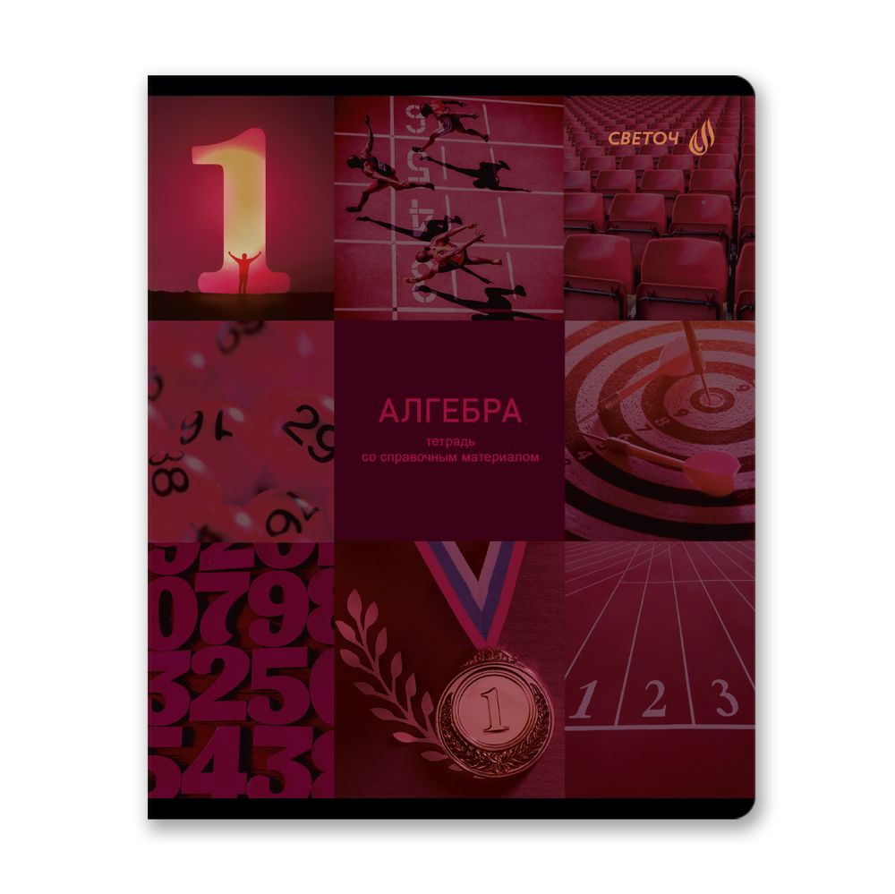 Тетрадь со справочным материалом Огромный мир внутри, A5 48 л. на скобе 60 г/м², белизна 90% 10 шт клетка, 01799 Огромный мир внутри Алгебра, Светоч Т278