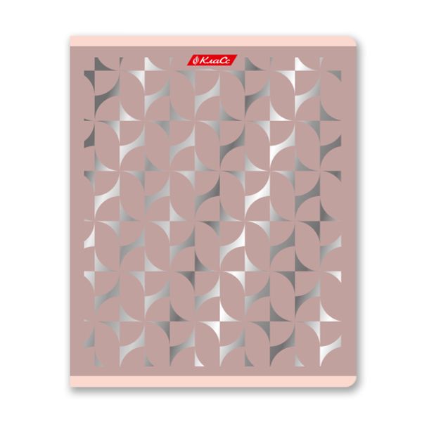 Тетрадь ученическая общая, матовая ламинация + тиснение серебряной фольгой, A5+ 48 л. на скобе 65 г/м², белизна 100%, 10 шт, клетка в термоусадочной пленке, 000743 Серебряная мечта, Светоч 48ТЕТк-007