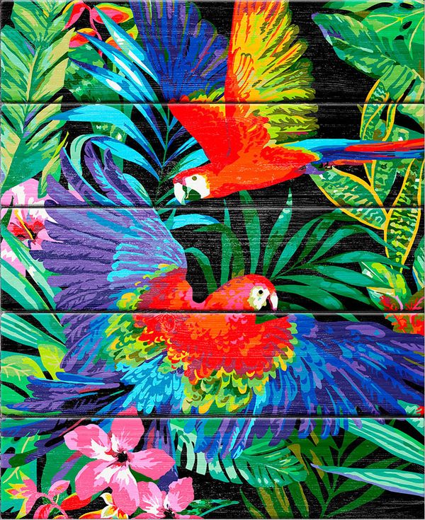 Картина по номерам PKW-1, 48 Тропики, деревянное панно, 40х50 см