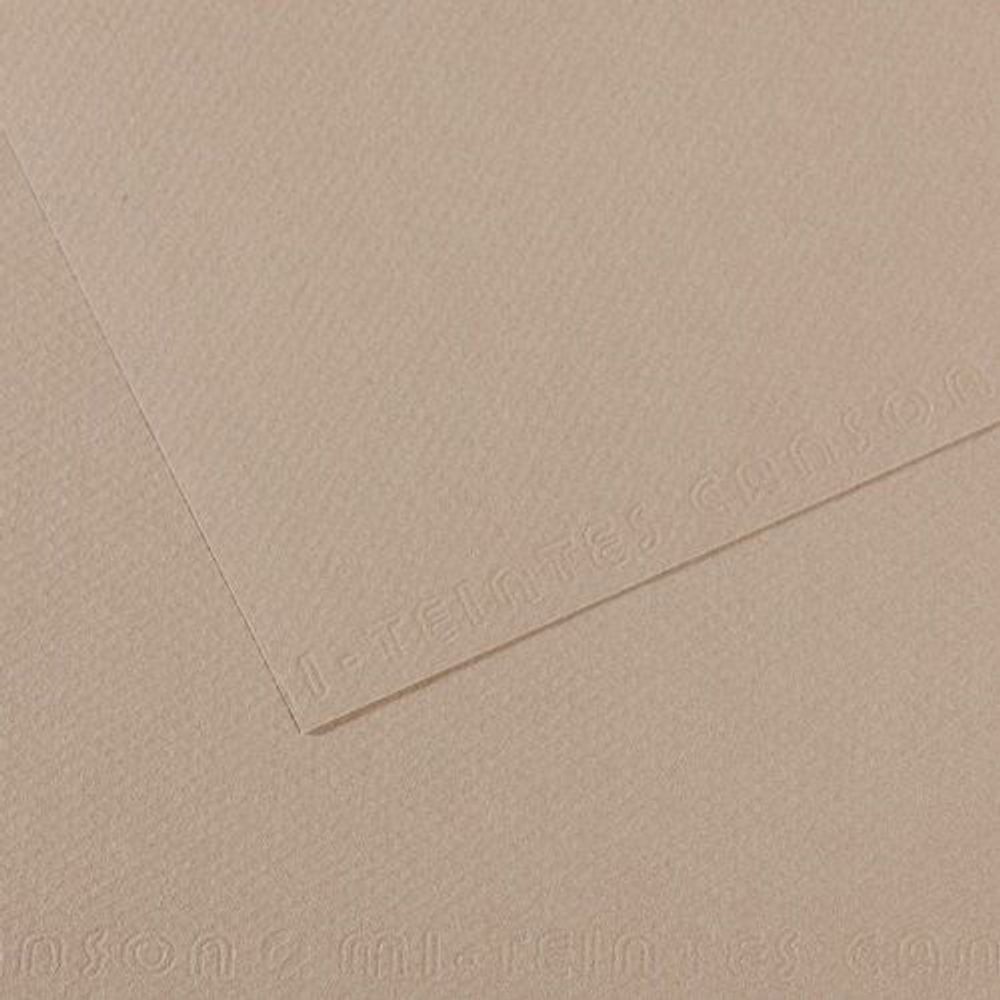 Бумага для пастели Mi-Teintes 160 г/м², 50х65 см, 10 л, №122 Серая фланель, Canson, C31032S095