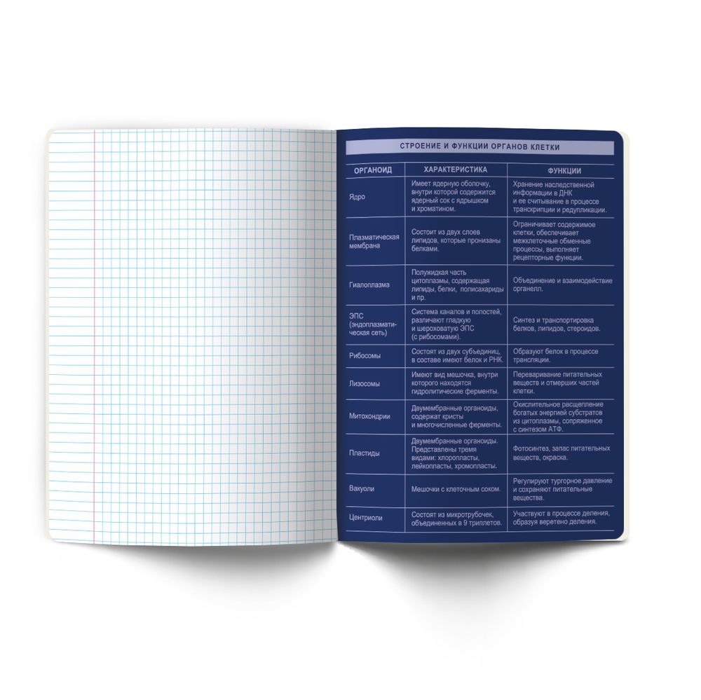 Тетрадь со справочным материалом Золотые главы, тисн.золот.фольгой, A5 48 л. на скобе 65 г/м², белизна 100% 10 шт клетка, 01849 Золотые главы Биология, Светоч Т286