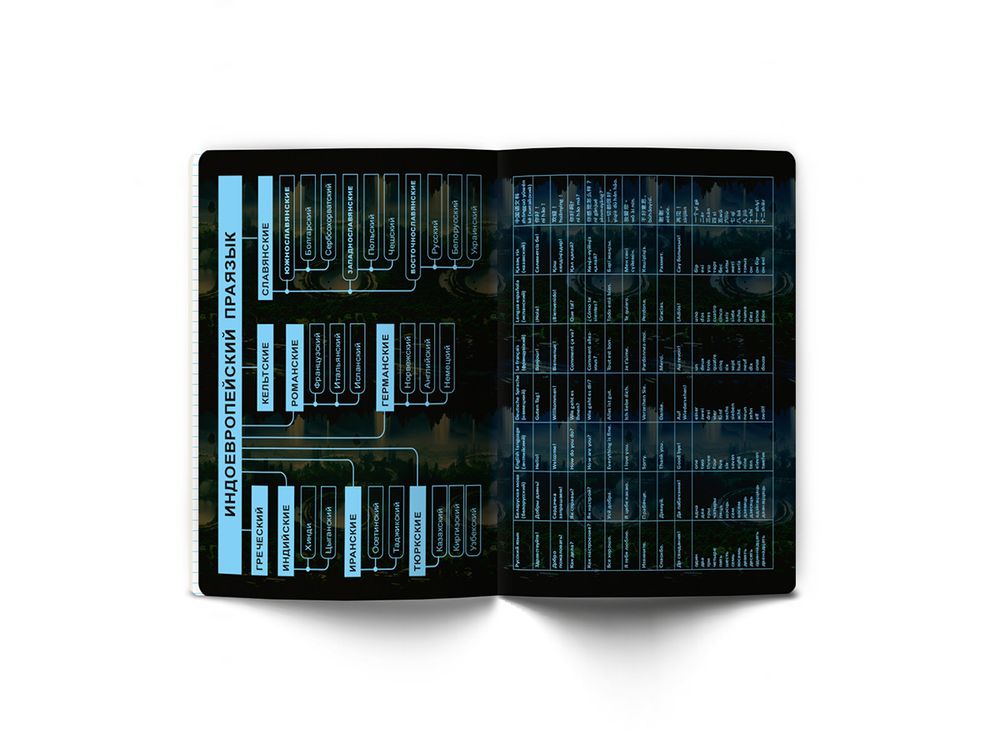 Тетрадь со справочным материалом Эволюция, глянцевая ламинация, A5+ 48 л. на скобе 65 г/м², белизна 100%, 10 шт, клетка, 00888 Иностранный язык, Светоч 48Т5