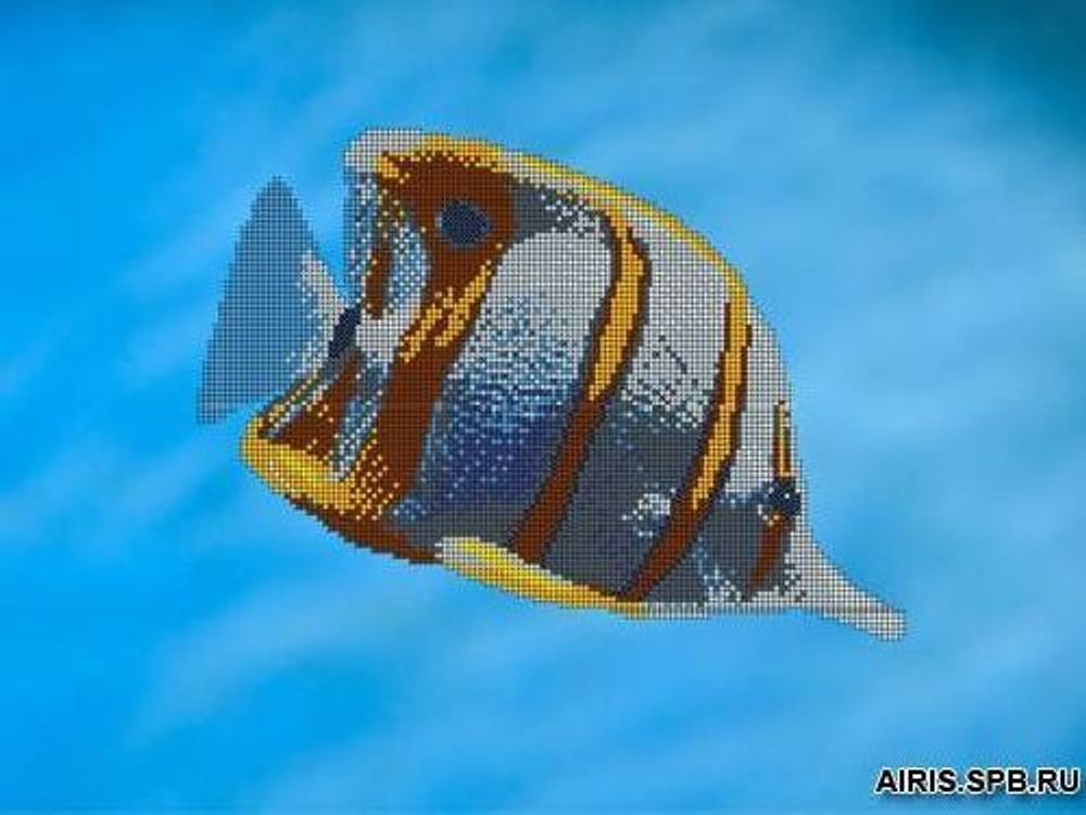 Рисунок для вышивания Gluriya &quot;Морская бабочка&quot; 40х30 см
