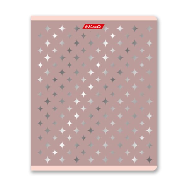 Тетрадь ученическая общая, матовая ламинация + тиснение серебряной фольгой, A5+ 48 л. на скобе 65 г/м², белизна 100%, 10 шт, клетка в термоусадочной пленке, 000743 Серебряная мечта, Светоч 48ТЕТк-007