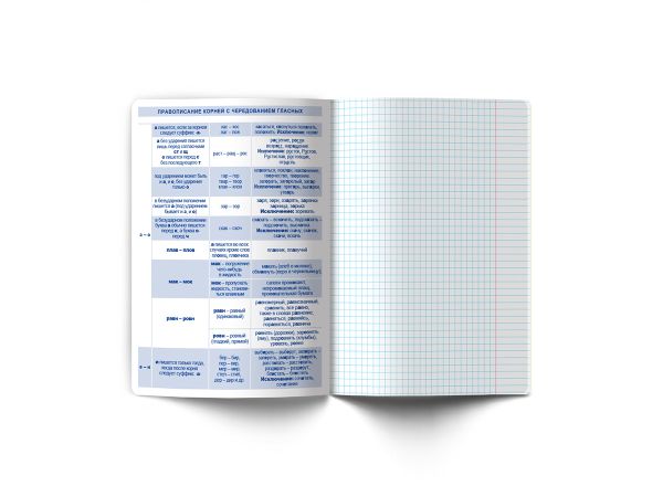 Тетрадь со справочным материалом Полёт идей, A5+ 48 л. на скобе 60 г/м², белизна 90%, 10 шт, линия, 000497 Русский язык, Светоч 48ТПСКп5_0_2_2