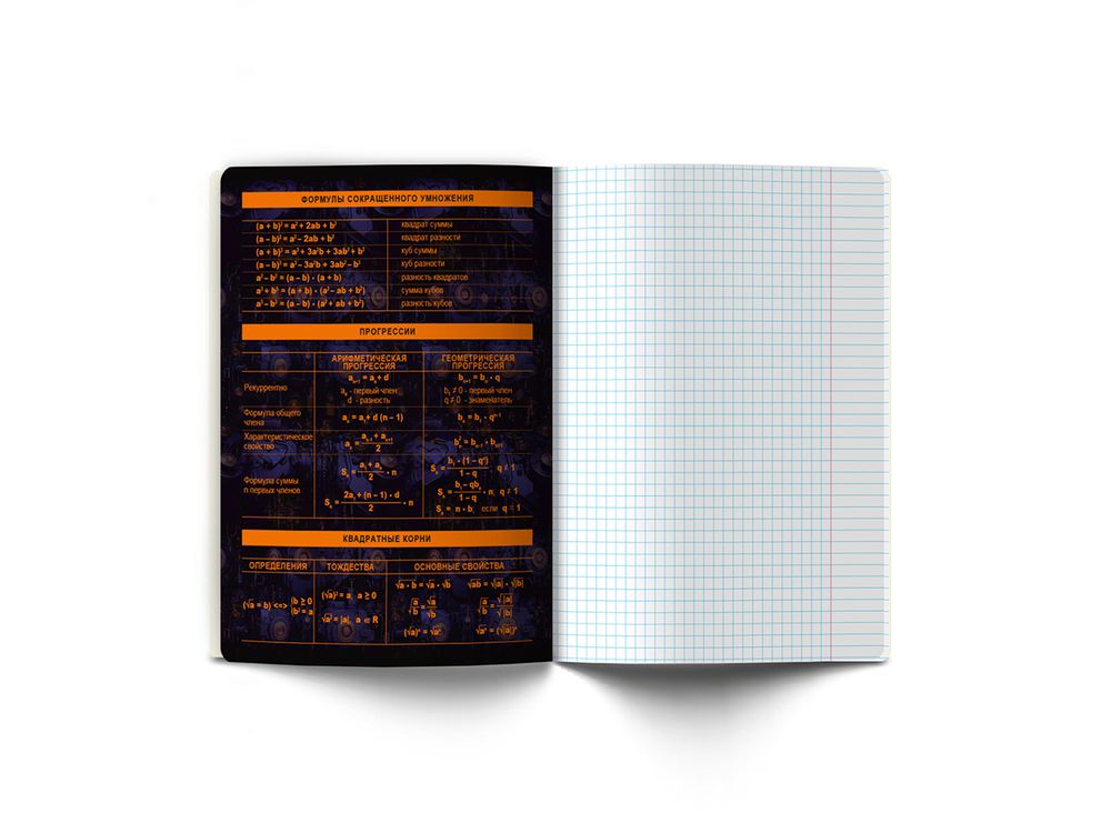 Тетрадь со справочным материалом Эволюция, глянцевая ламинация, A5+ 48 л. на скобе 65 г/м², белизна 100%, 10 шт, клетка, 00875 Алгебра, Светоч 48Т5