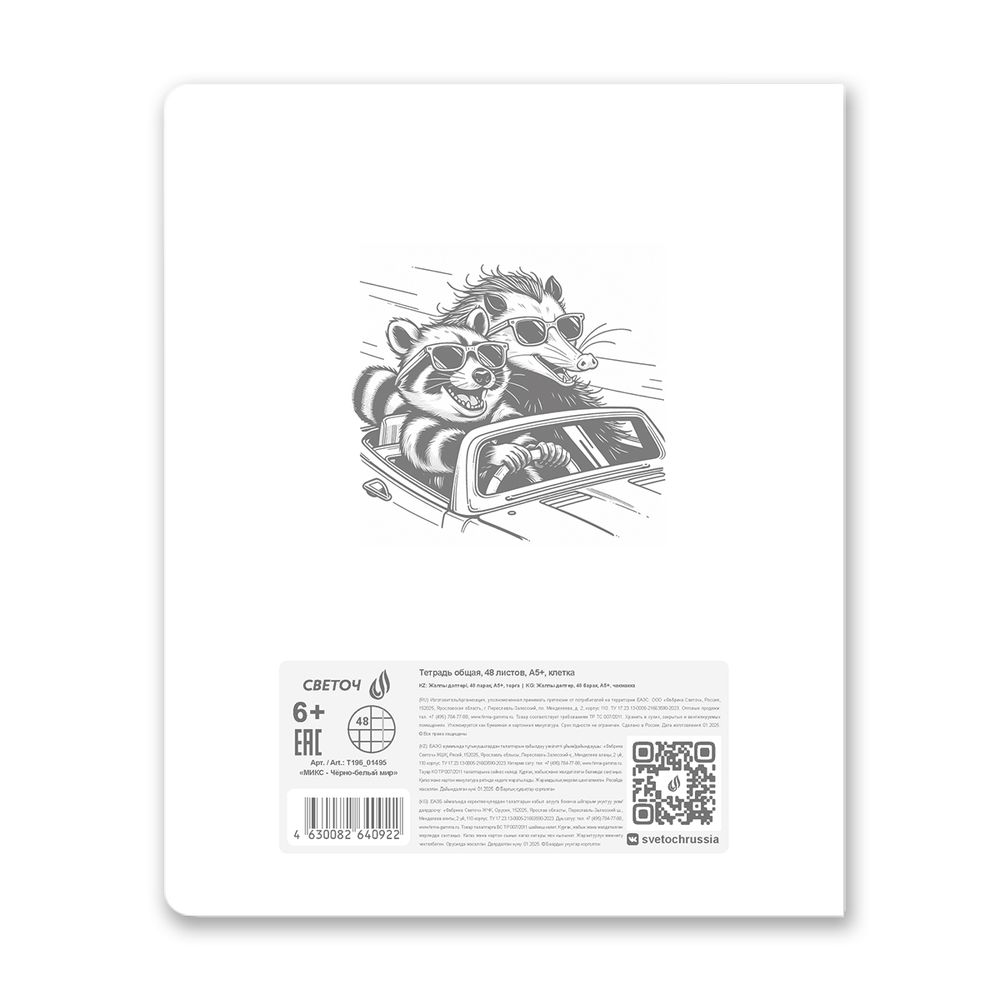 Тетрадь общая с пластик.обложкой 180 мкм, ч/б запечат. титульн.лист, A5 48 л. на скобе 65 г/м², белизна 100% 10 шт клетка, 01495 МИКС - Чёрно-белый мир, Светоч Т196