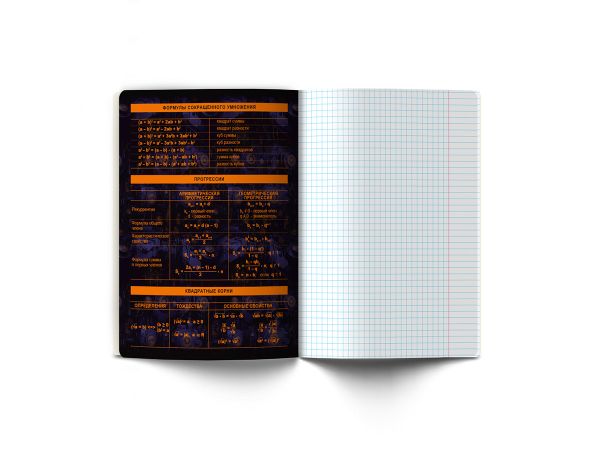 Тетрадь со справочным материалом Эволюция, глянцевая ламинация, A5+ 48 л. на скобе 65 г/м², белизна 100%, 10 шт, клетка, 00875 Алгебра, Светоч 48Т5