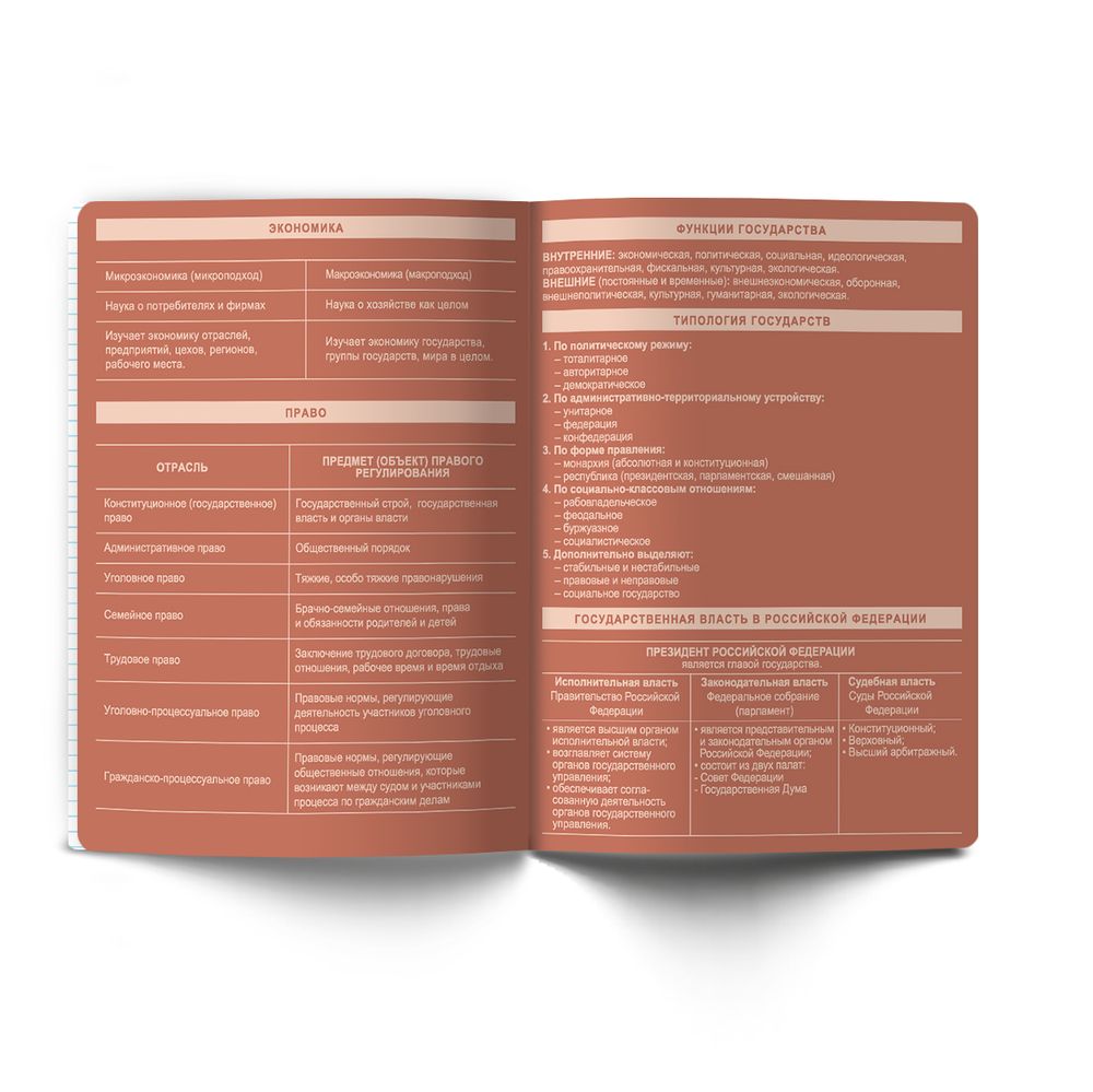 Тетрадь со справочным материалом Лёгким почерком, софт-тач ламинация, A5 48 л. на скобе 65 г/м², белизна 100% 10 шт, клетка, 01844 Лёгким почерком Обществознание, Светоч Т284