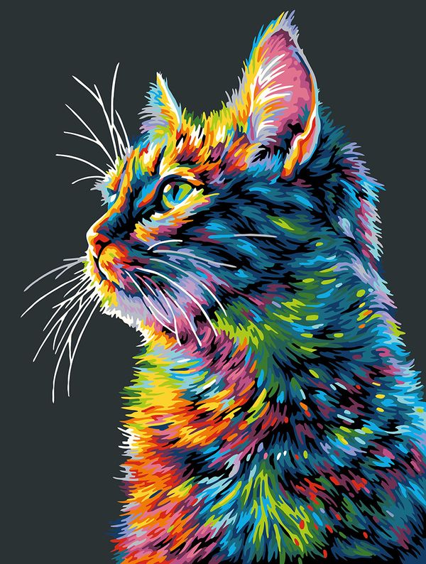 Картина по номерам Фрея PNB/PMB-294, Портрет котика, (эффект черного холста) 40х30 см