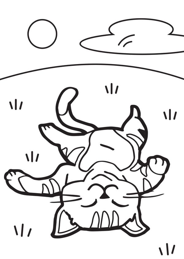 Набор для раскрашивания цветным песком №33 Лежу, загораю!, 16.5х23 см, Hobbius SPT-01