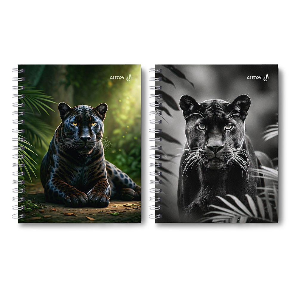 Тетрадь общая с твердой обложкой, матовая ламинация A5 120 л. на гребне 65 г/м², белизна 100% 4 шт клетка, 01553 Чёрная кошка, Светоч Т209