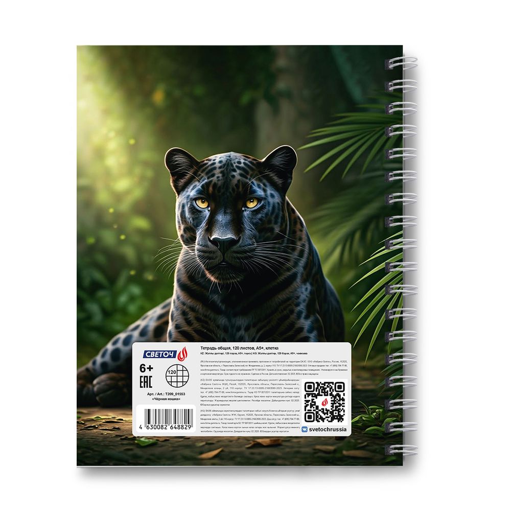 Тетрадь общая с твердой обложкой, матовая ламинация A5 120 л. на гребне 65 г/м², белизна 100% 4 шт клетка, 01553 Чёрная кошка, Светоч Т209