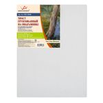 Холст на подрамнике грунтованный 30х40 см, 400 г/м², 2 шт, мелкозернистый, Vista-Artista SCL-3040