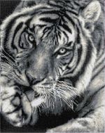 Алмазная (кристальная) мозаика Фрея, на подрамнике Черно-белый тигр, 40х50 см