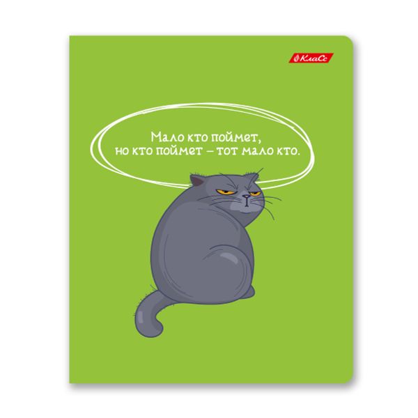 Тетрадь ученическая общая, A5+ 40 л. на скобе 65 г/м², белизна 100%, 10 шт, клетка в термоусадочной пленке, 000475 Слово не воробей, Светоч 40ТСК5_0_2_1