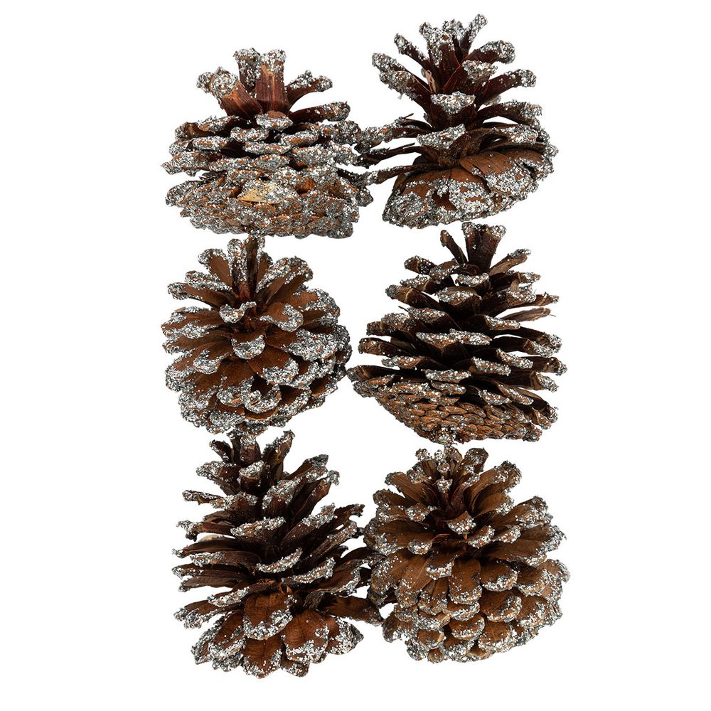 Шишки сосновые, 6 шт, 02 Сосна/ под серебро, Blumentag CIF-02, УЦЕНКА