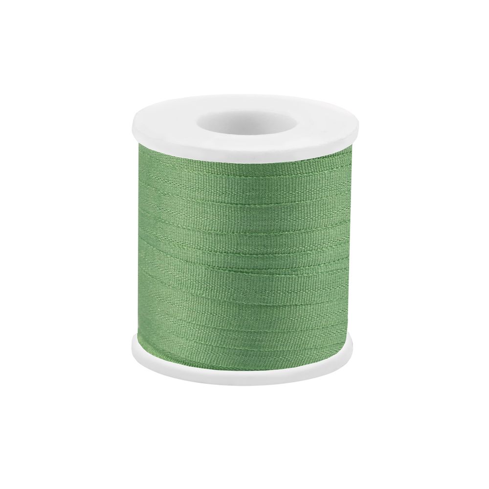 Лента (тесьма) шелковая 4.0 мм / 45.5±0.5 метров, №209 салатовый, Gamma SR-4
