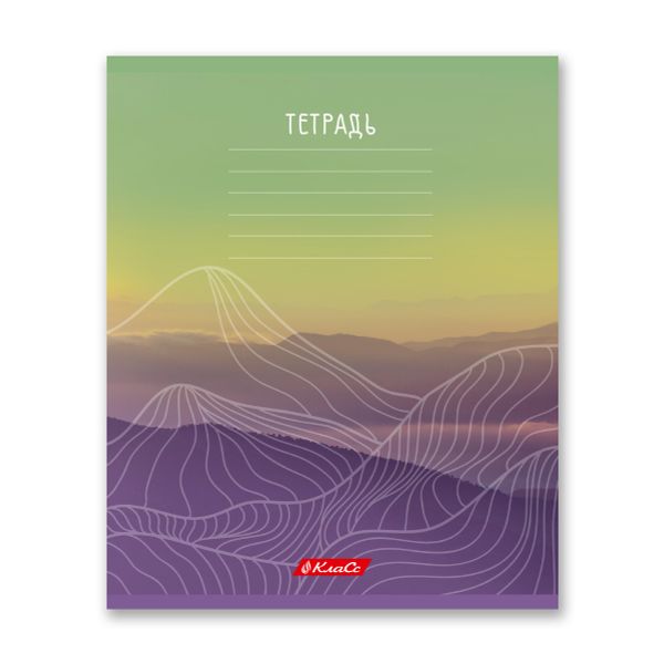 Тетрадь ученическая школьная A5+ 24 л. на скобе 65 г/м², белизна 100% 30 шт, клетка, 000377 Родные просторы, Светоч 24ТСКд5_1_3_1