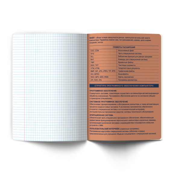 Тетрадь со справочным материалом Лёгким почерком, софт-тач ламинация, A5 48 л. на скобе 65 г/м², белизна 100% 10 шт, клетка, 01843 Лёгким почерком Информатика, Светоч Т284