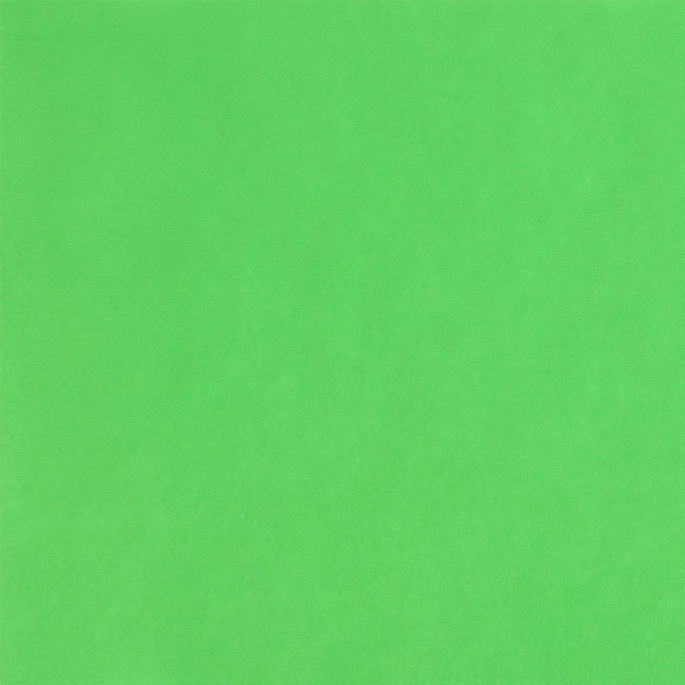 Фетр листовой жесткий 0.5 мм, 38х47 см, S-11 св.зеленый, Gamma FKA05-38/47