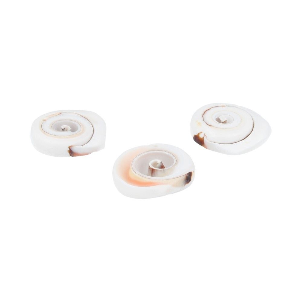 Ракушки декоративные 23 мм, 100 г (5х20 г), №01 натуральный, Zlatka D20-24