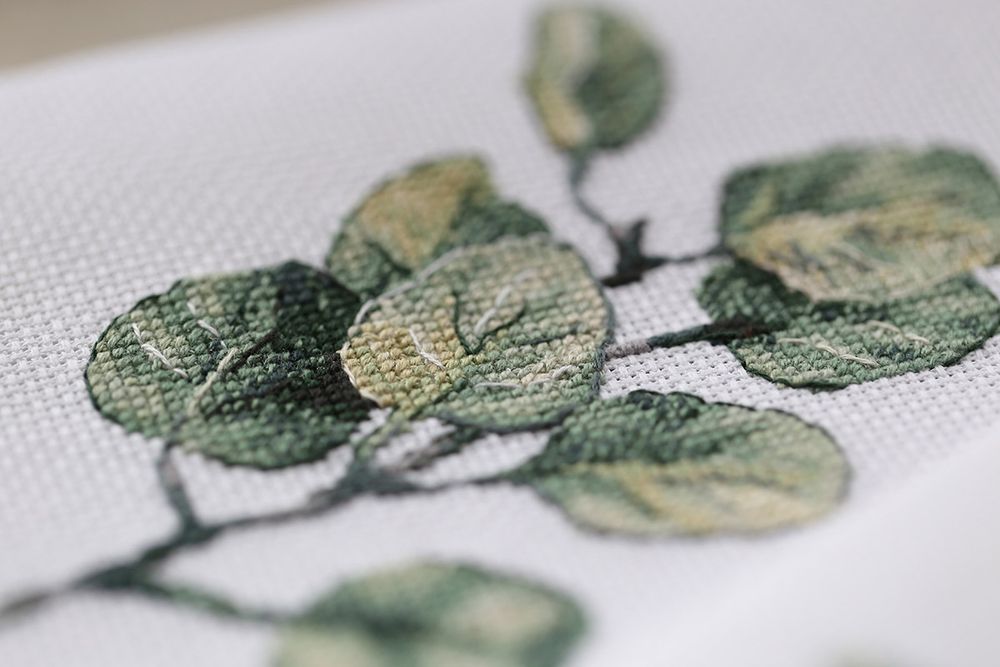 Набор для вышивания нитками Panna, Веточка эвкалипта, 21х30 см