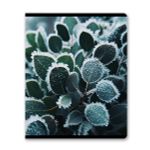 Тетрадь ученическая общая, глянцевая ламинация A5 48 л. на скобе 65 г/м², белизна 100% 10 шт клетка, 01503 Морозная свежесть, Светоч Т71