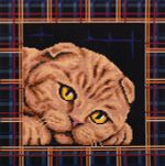 Алмазная (кристальная) мозаика Фрея, постер Шотландская кошка, 30х30 см