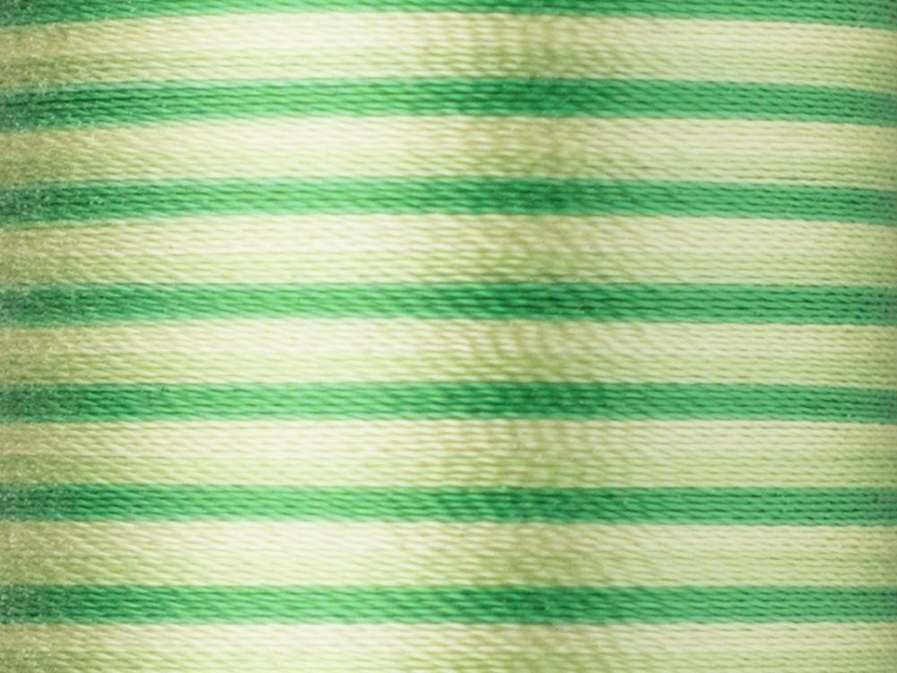 Нитки вышивальные Madeira Rayon №40, 200 м, цв. 2031, 9840, 5 катушек