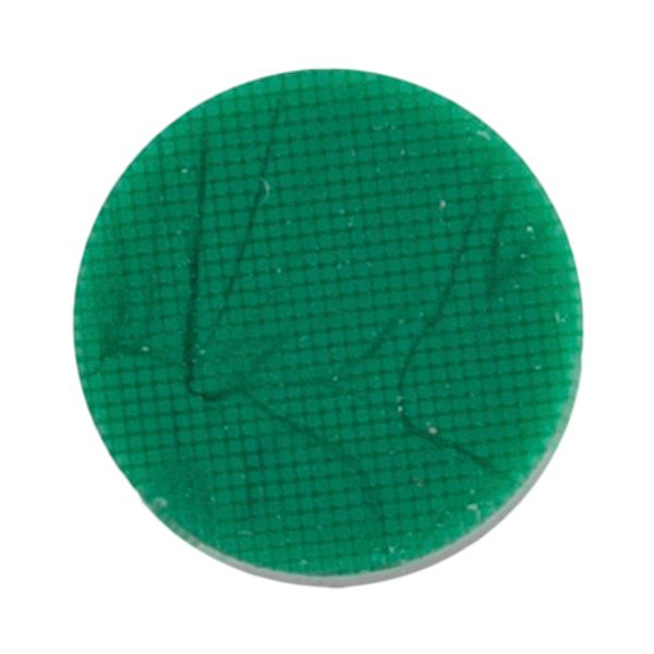 Пуговицы на ножке блузочные 11 мм, 36 шт, D152 т.зеленый, Gamma CRZ 0013