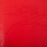 Папка на резинке A4 600 мкм 35 мм, волокно, 5 шт, красный new EC21043004, Expert Complete