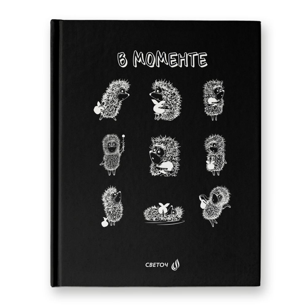 Бизнес-блокнот A5+ 80 л. 22 шт, клетка, матовая ламинация + выборочный лак, (лицензия), В моменте (Ёжик в тумане) 01165, Светоч ББ102