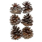 Шишки, 6 шт, 02 Сосна/ серебро, Blumentag CIF-02