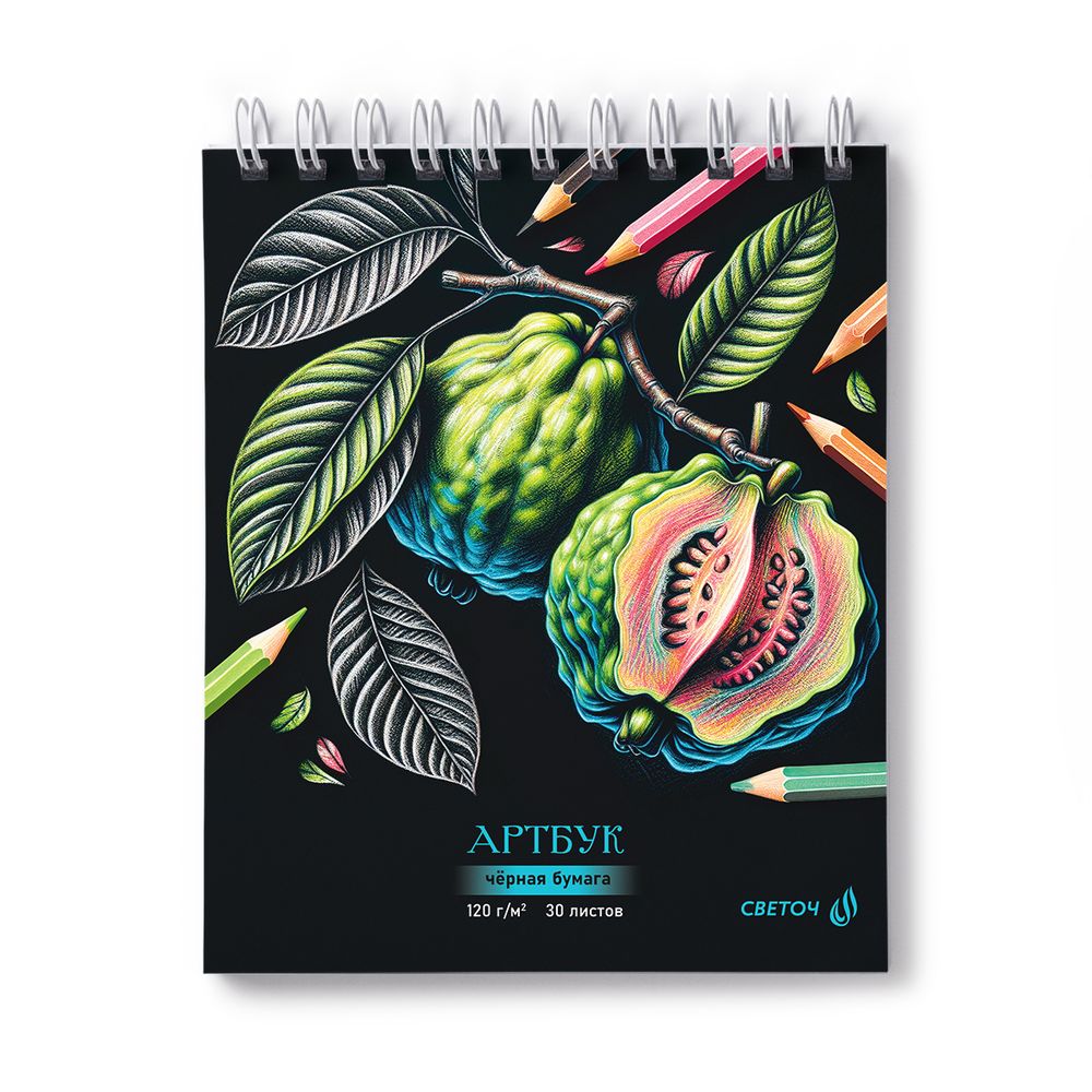 Артбук (скетчбук), блок черный, жесткая подложка, 120 г/м², 175х200 мм, на гребне 30 л. 2 шт, Экзотик 01944, Светоч А307