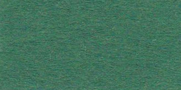 Бумага цветная 300 г/м², А2, 42.5х60 см, 10 шт, 58 т.зеленый (fir green), Vista-Artista TKO-A2